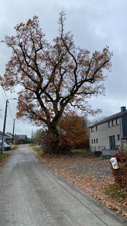 Le Gite Du Vieux Chene Bertogne Экстерьер фото